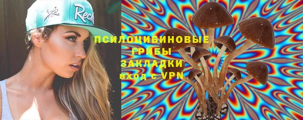 прущая мука Кодинск