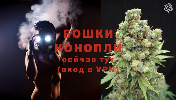 шишки Козловка