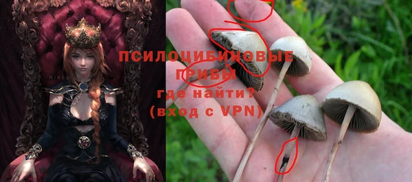 шишки Козловка