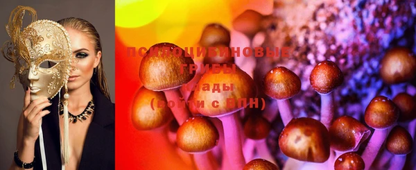прущая мука Кодинск